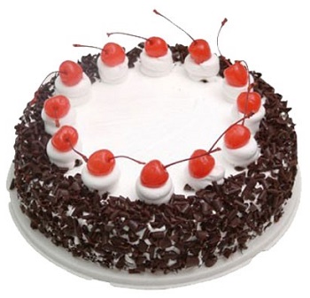 REG001 - Black Forest