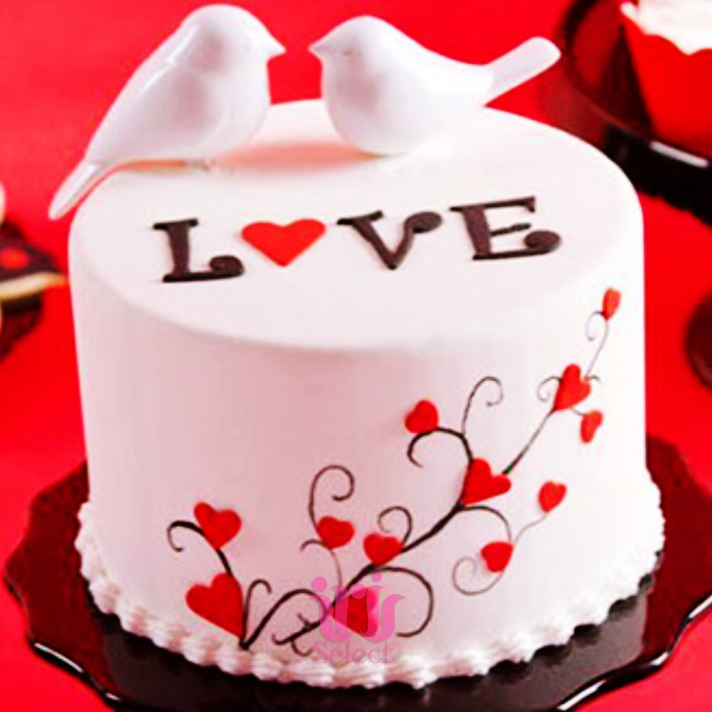 AVN013 - Love Bird Cake
