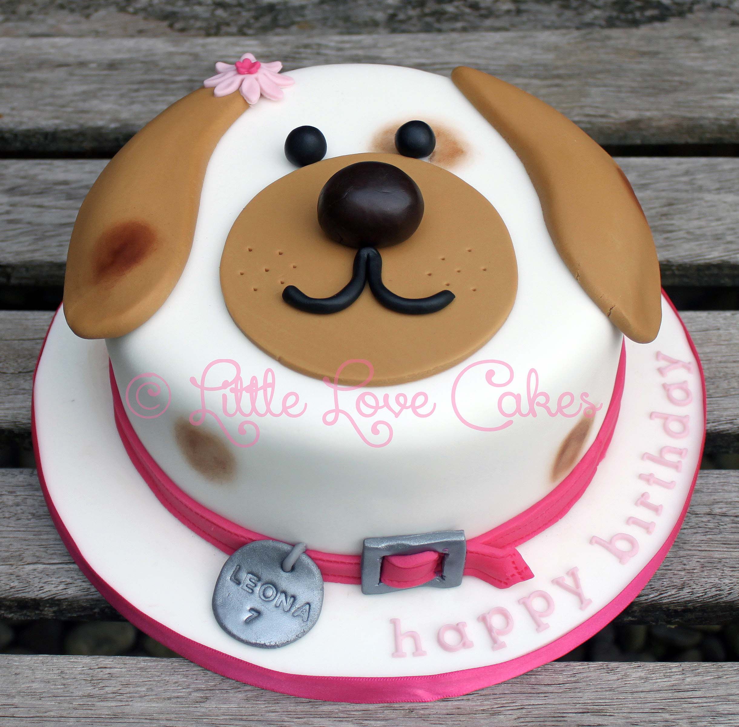 can you give a dog cake